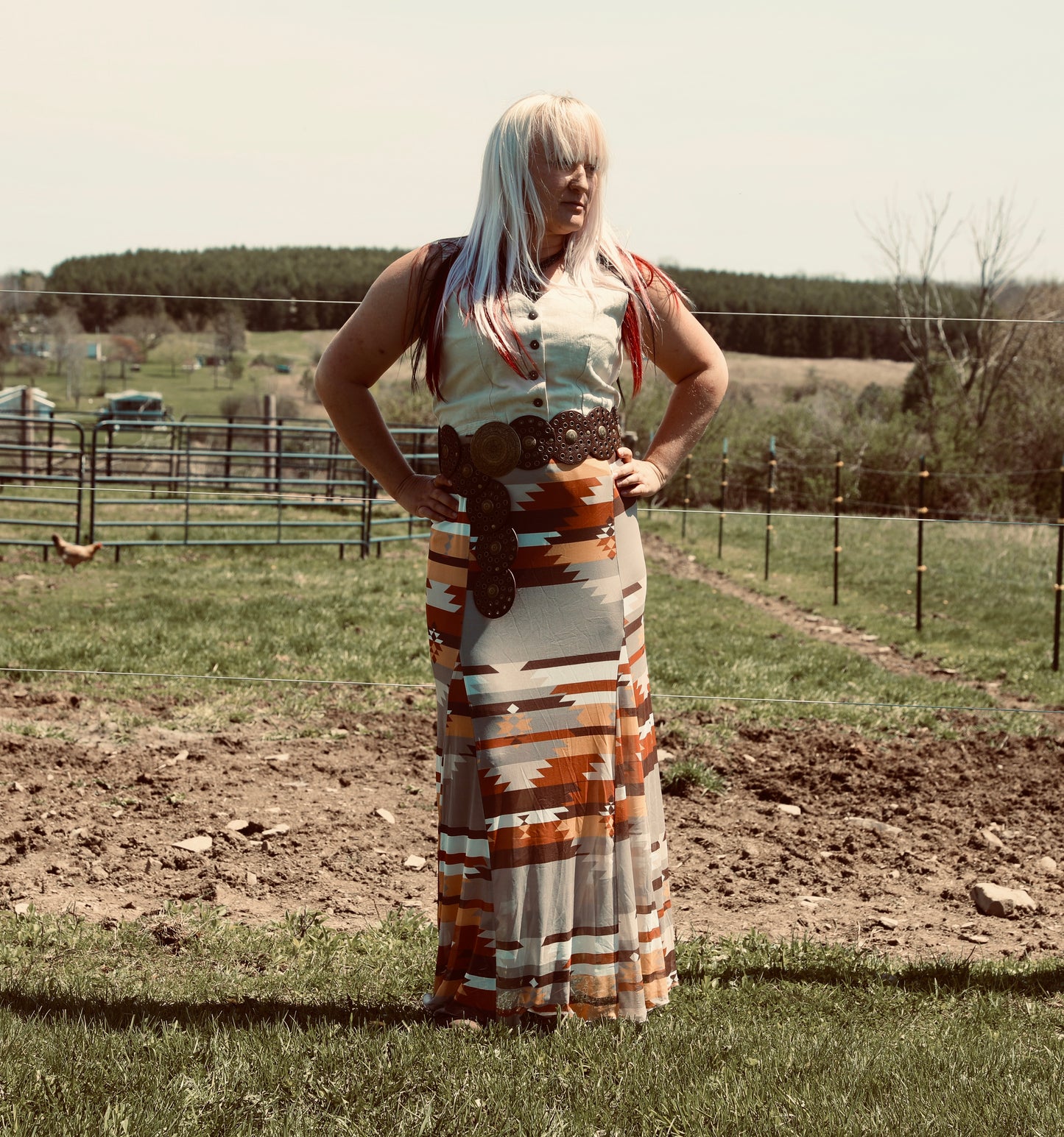 BLAIR Aztec Print Lined Mesh
A-Line Full Skirt