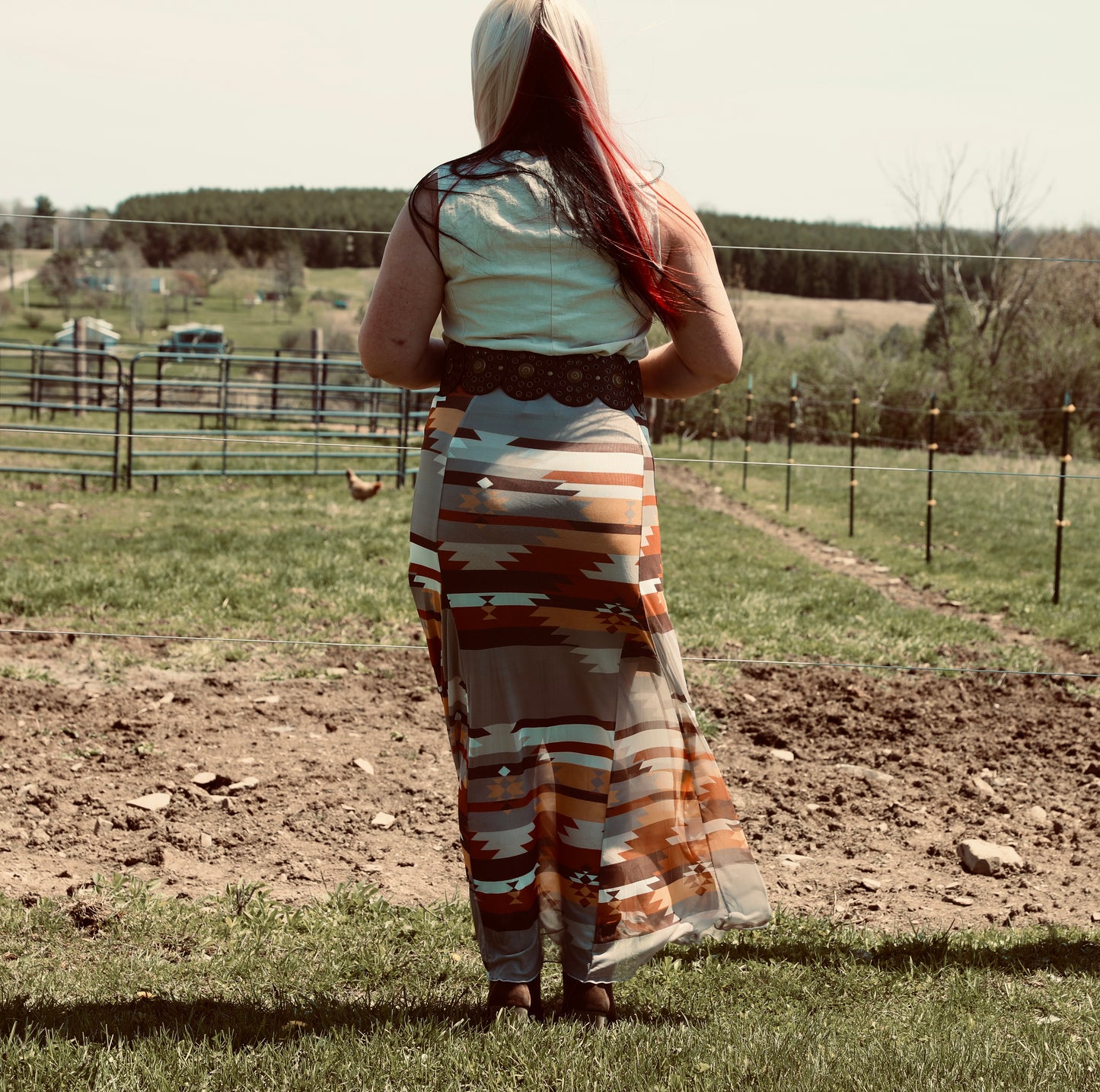 BLAIR Aztec Print Lined Mesh
A-Line Full Skirt