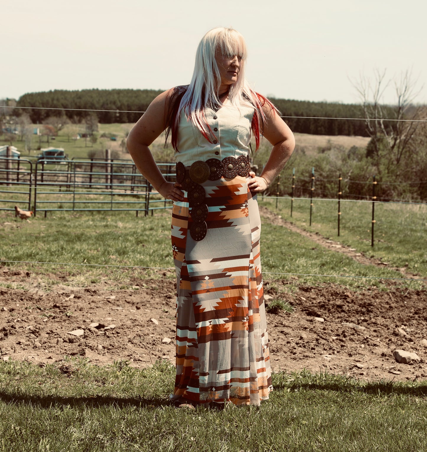 BLAIR Aztec Print Lined Mesh
A-Line Full Skirt