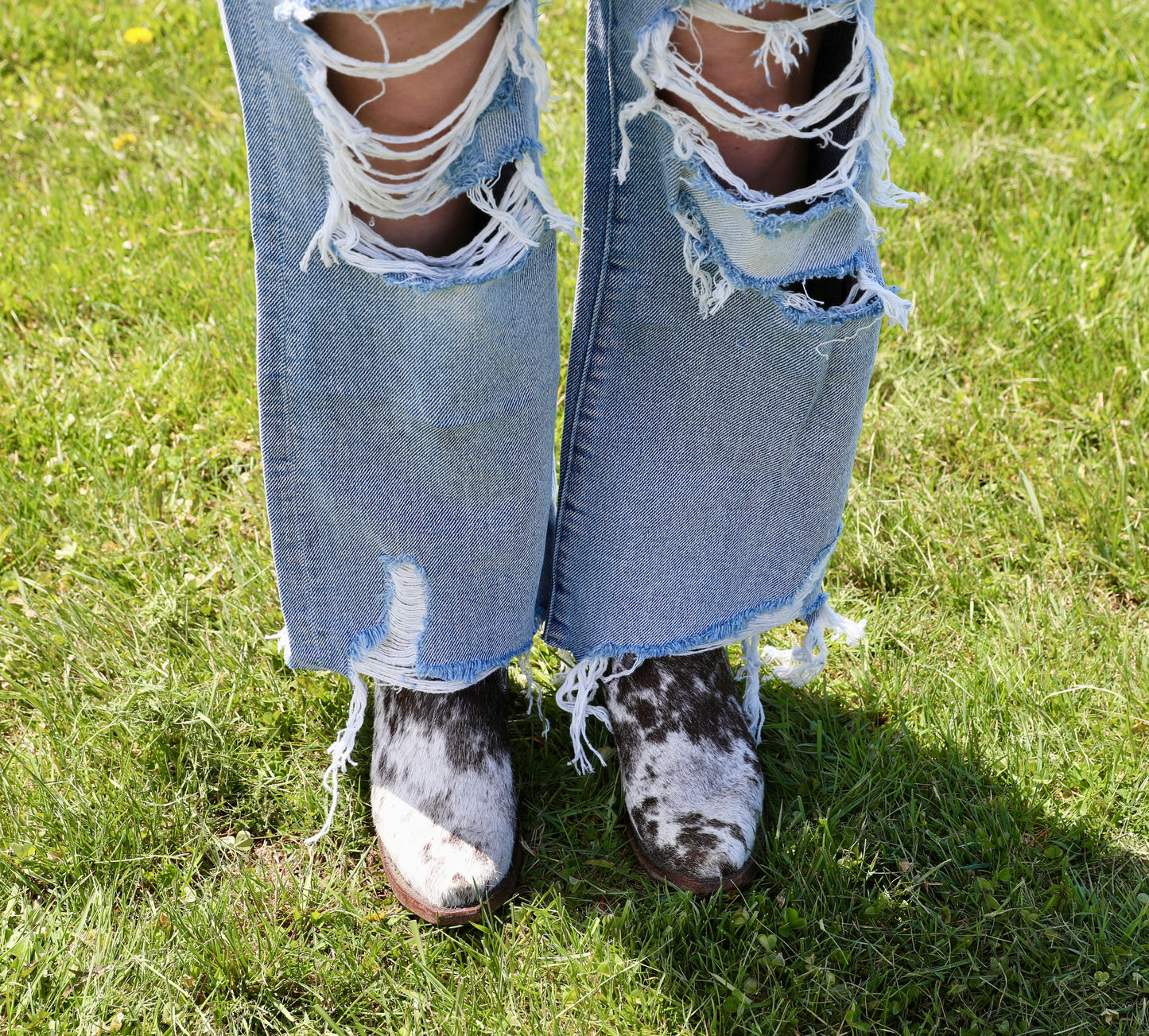 Petra153 Distressed High Rise Rigid
Vintage Cropped Flare