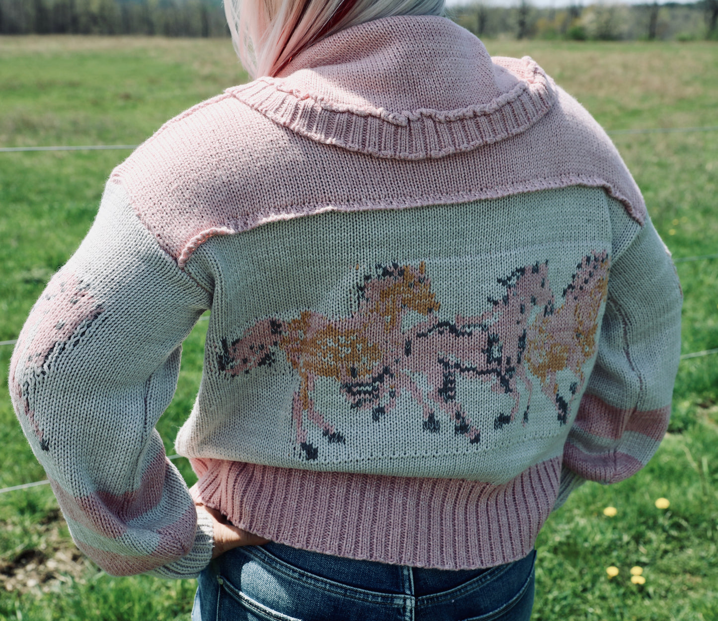 Pink Horsin’ Around Sweater