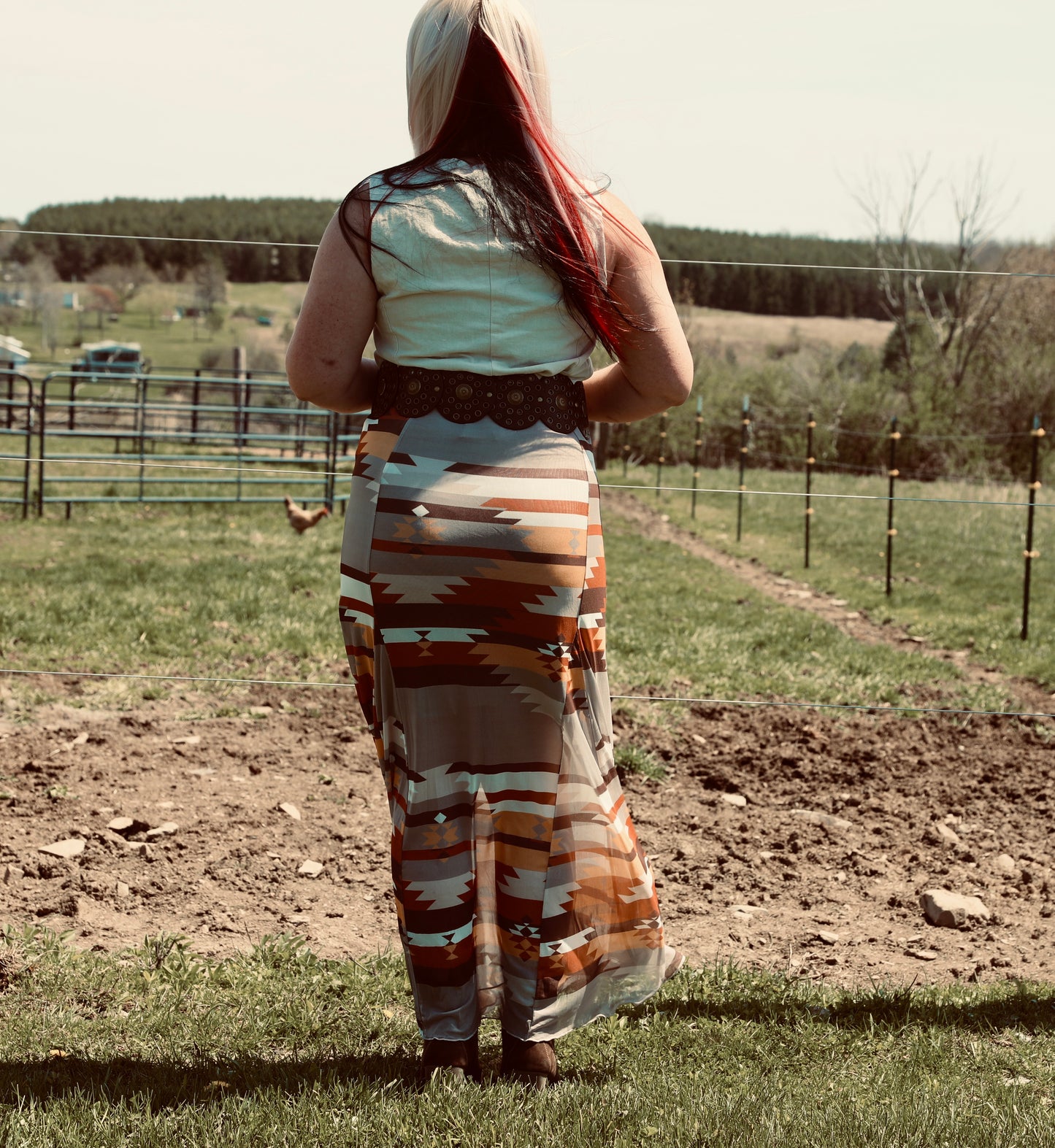 BLAIR Aztec Print Lined Mesh
A-Line Full Skirt